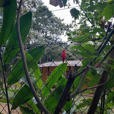 Sitio Das Bromelias Cachoeira Do Tombador Ubatuba Esterno foto