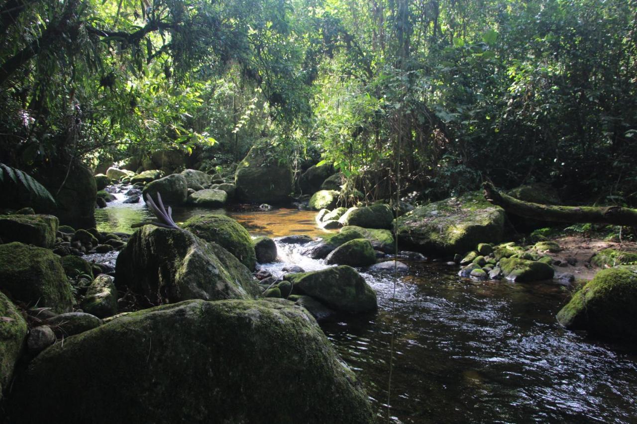 Sitio Das Bromelias Cachoeira Do Tombador Ubatuba Esterno foto