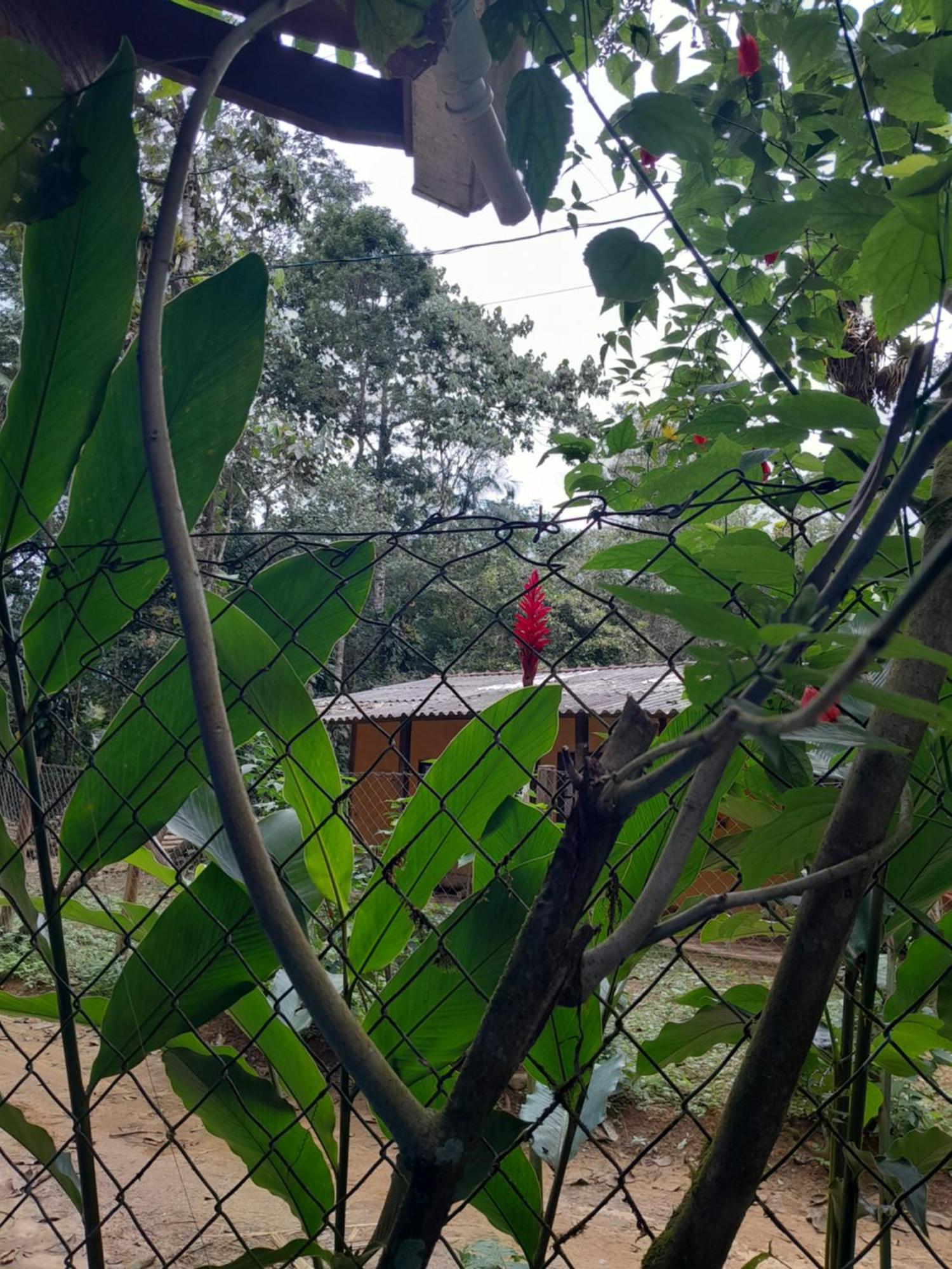 Sitio Das Bromelias Cachoeira Do Tombador Ubatuba Esterno foto